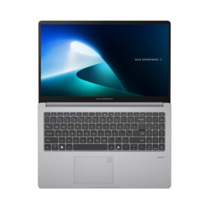 ASUS ExpertBook P1 (P1503)