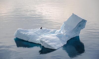 Scioglimento calotte polari - Ivan Presta e i cambiamenti climatici