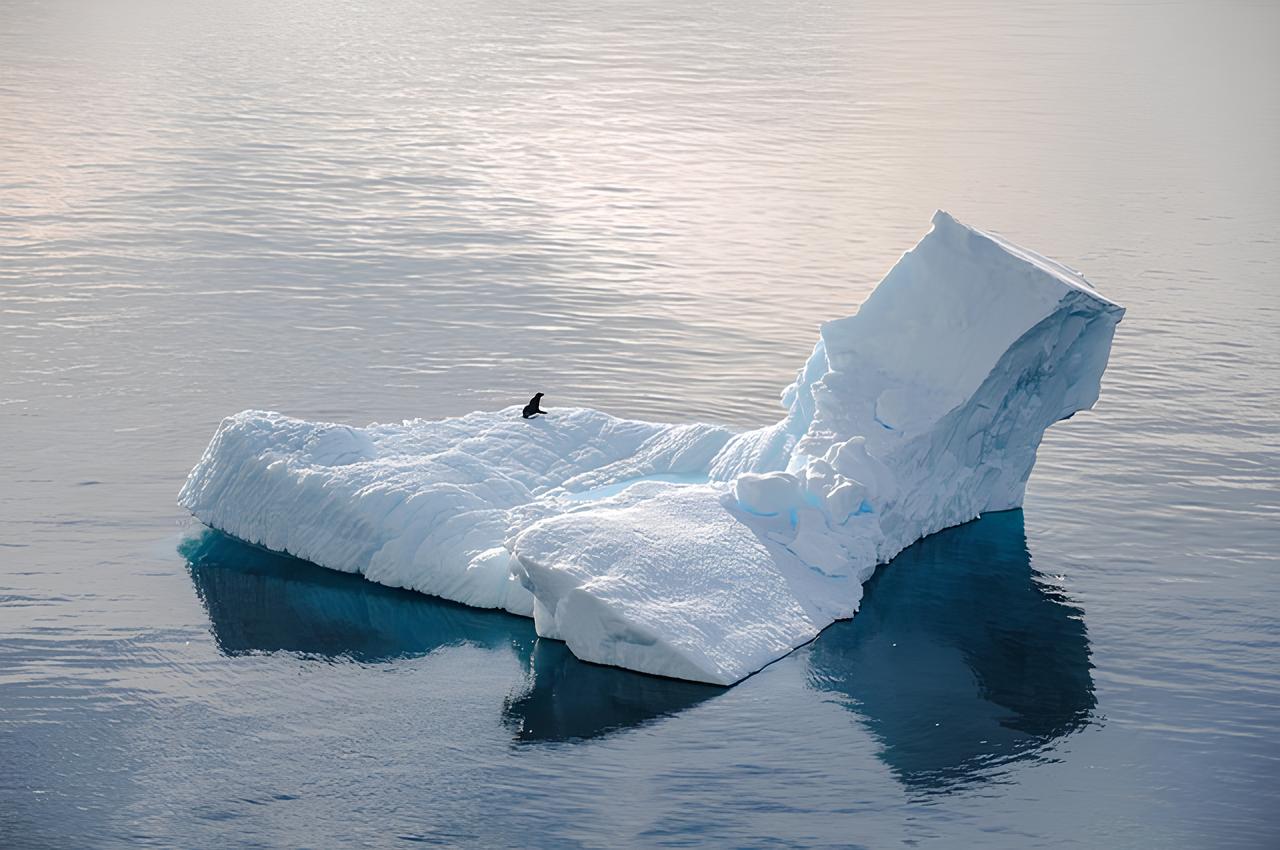 Scioglimento calotte polari - Ivan Presta e i cambiamenti climatici