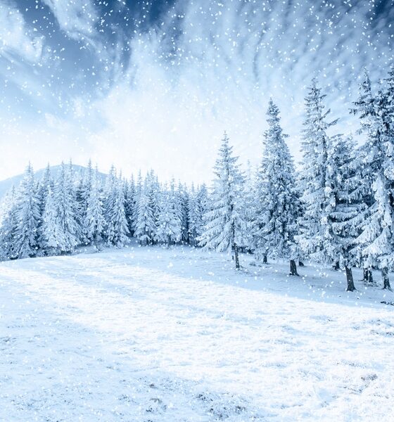 Montagne con la neve (© Depositphotos)